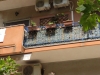 todaro2